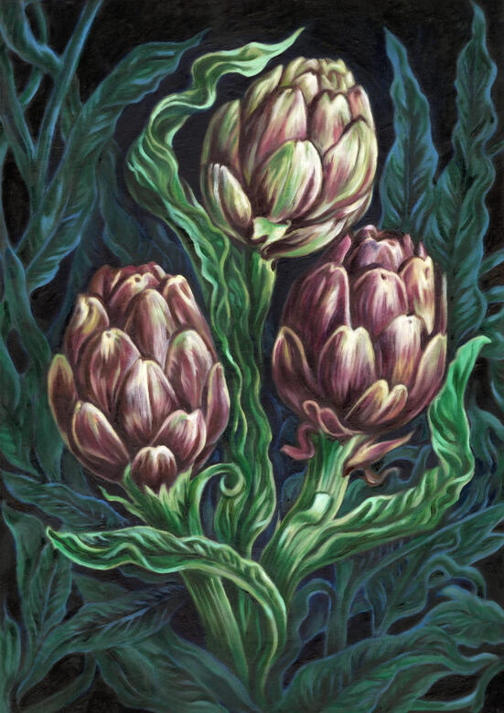 Original floral fine art illustration by Wet Petal Studio, available for commissions across South Africa.