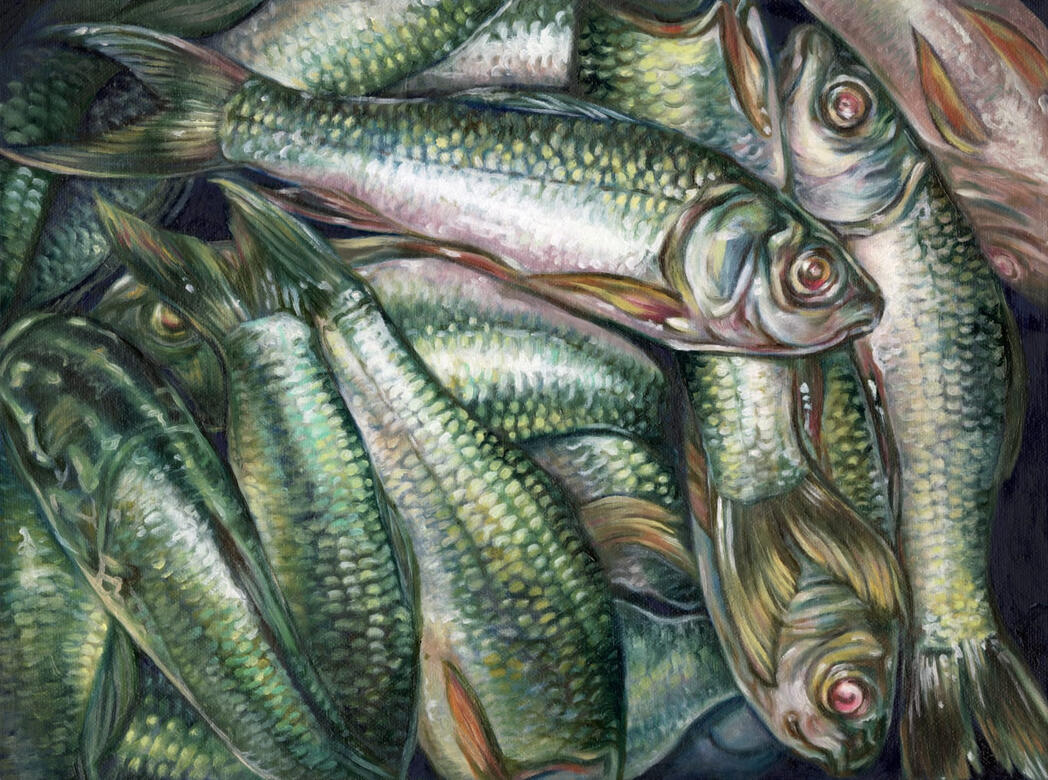 Fine art and illustration of animals by Wet Petal Studio, personalised custom artwork for meaningful moments.